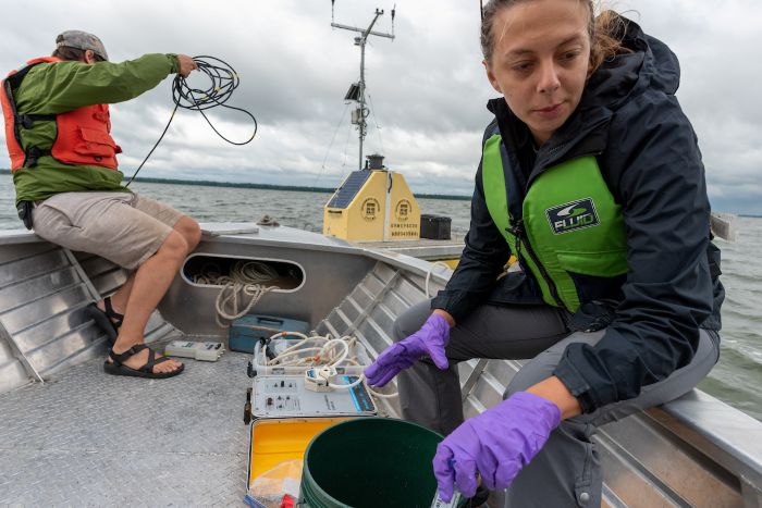 UVM researchers find nitrogen feeds algae blooms