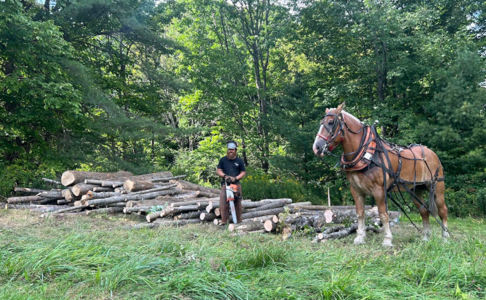 Over $1 million in grants awarded to Vermont farm, forest, and food businesses and orgs. VAAFM photo