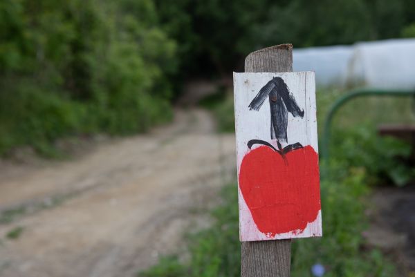Tebbetts: A voice from Vermont’s working lands