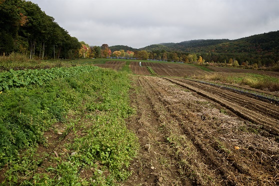 Vermont Working Lands Enterprise Initiative