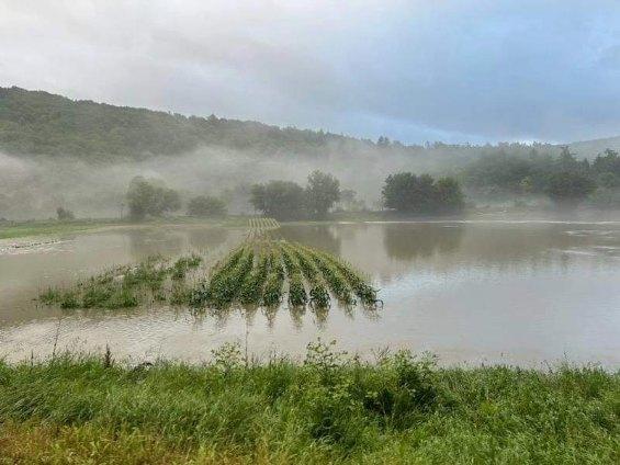 Governor Phil Scott has requested that the United States Department of Agriculture (USDA) issue a disaster designation for the State of Vermont.