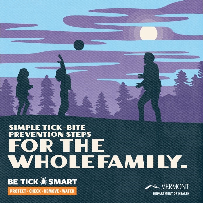 Rates of tick bite illnesses in the state have continued to rise over time, with Lyme disease the most common.