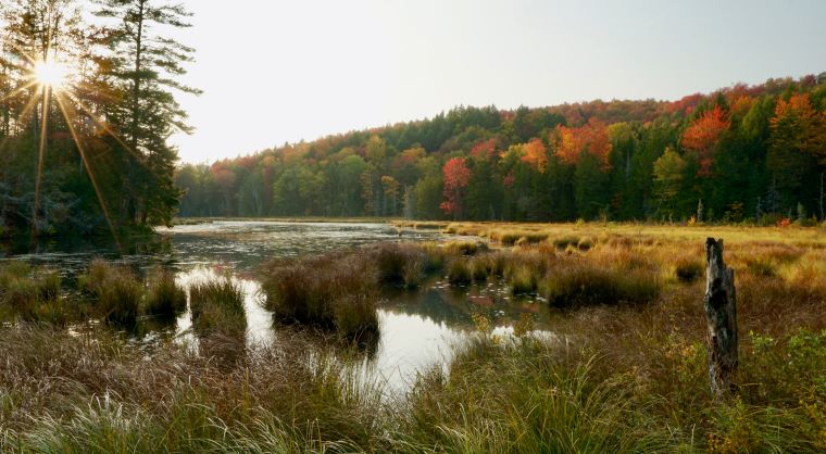 Vermont River Conservancy