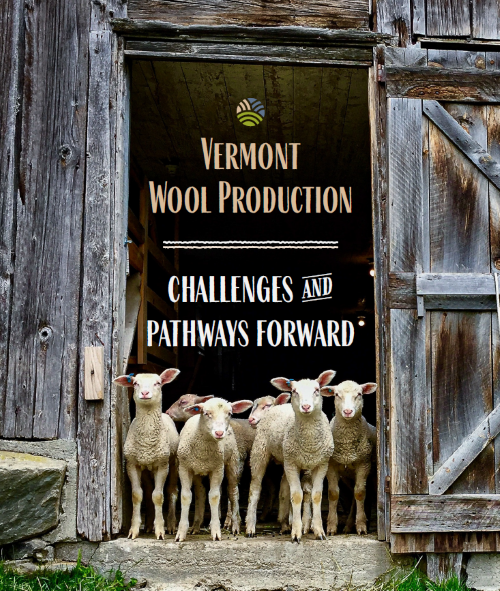 New report highlights opportunity to expand Vermont’s wool and fiber economy