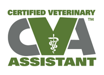 Vermont Veterinary Medical Association launches certified veterinary assistant training program