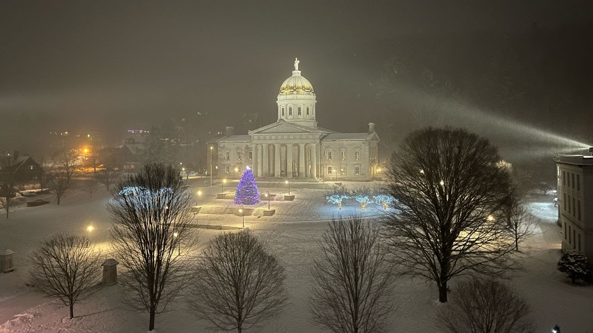 State House Christmas tree 2024.