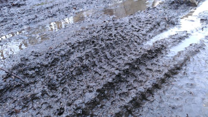 Mud season in Vermont. Photo credit: Vermont Department of Forests, Parks and Recreation