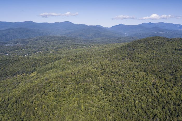 Nature Conservancy in Vermont&nbsp;awards&nbsp;$500,000 to seven conservation projects