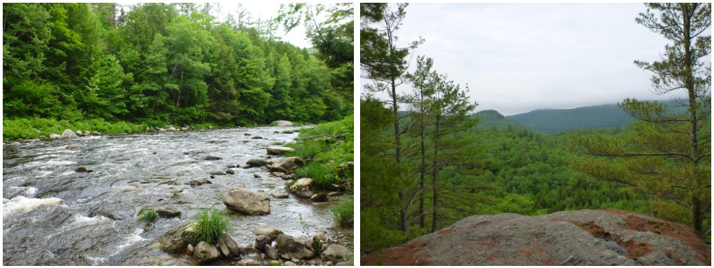Public scoping meeting planned for Jamaica State Park Long-Range Management Plan