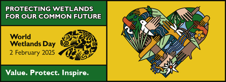 DEC: Wetlands Day 2025 Celebrates Wetlands for Our Common Future