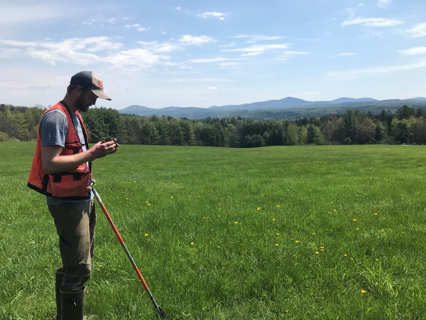 DEC Wetland Ecologist, Elijah Schumacher, examines a soil core for signs of a high water table.