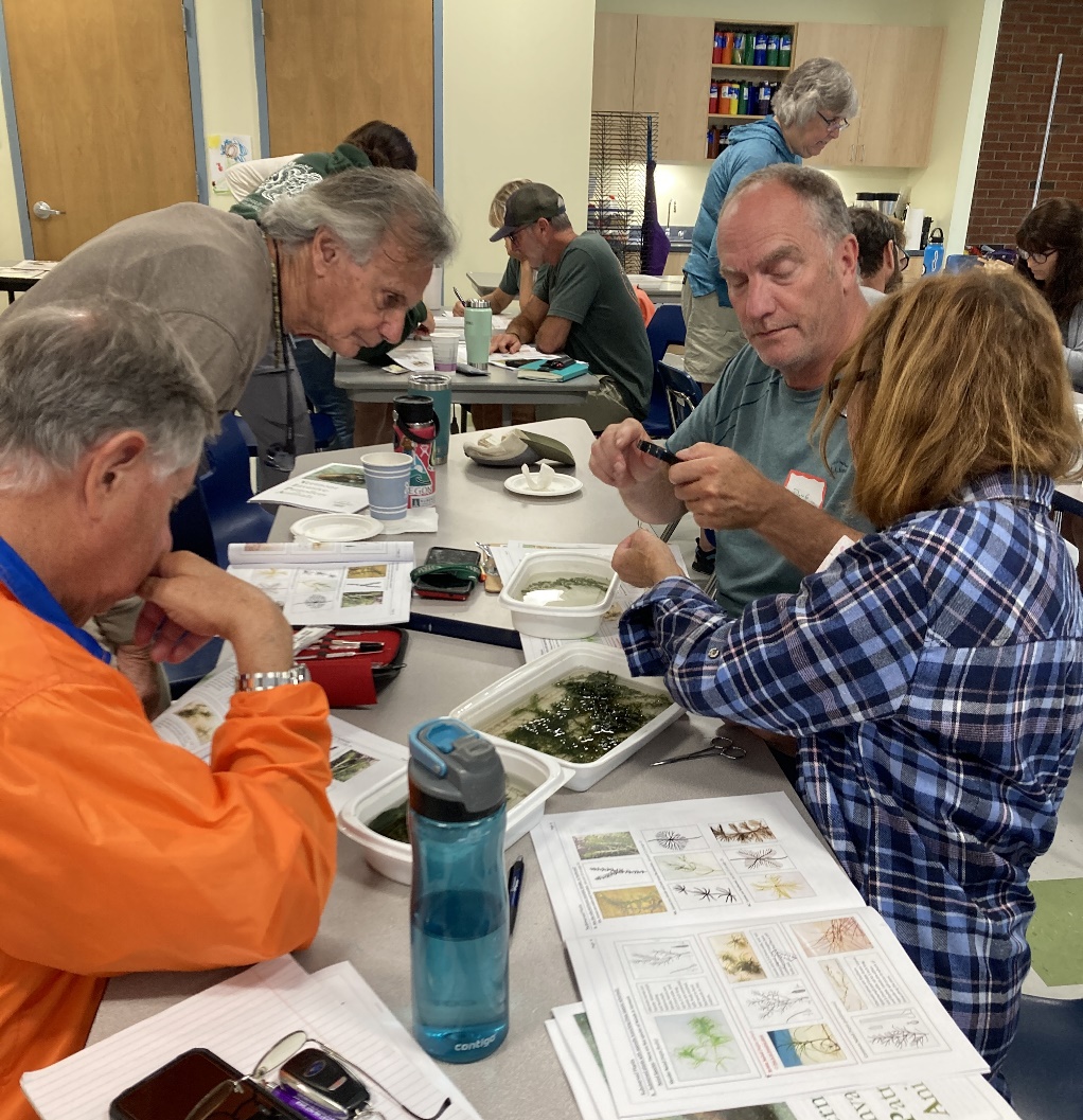 Photo: Volunteers identifying aquatic plants at Vermont Invasive Patrollers training. Courtesy photo.