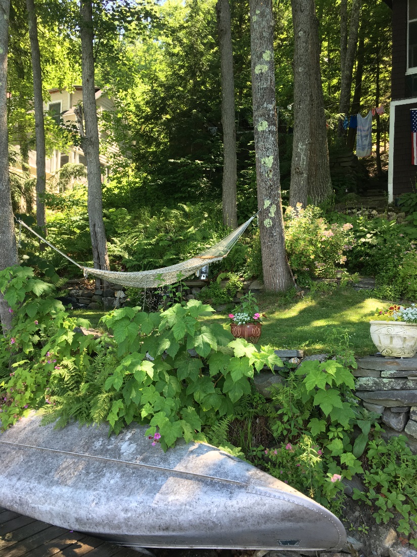 A vegetated lakefront at Lake Morey in Fairlee, Vermont.