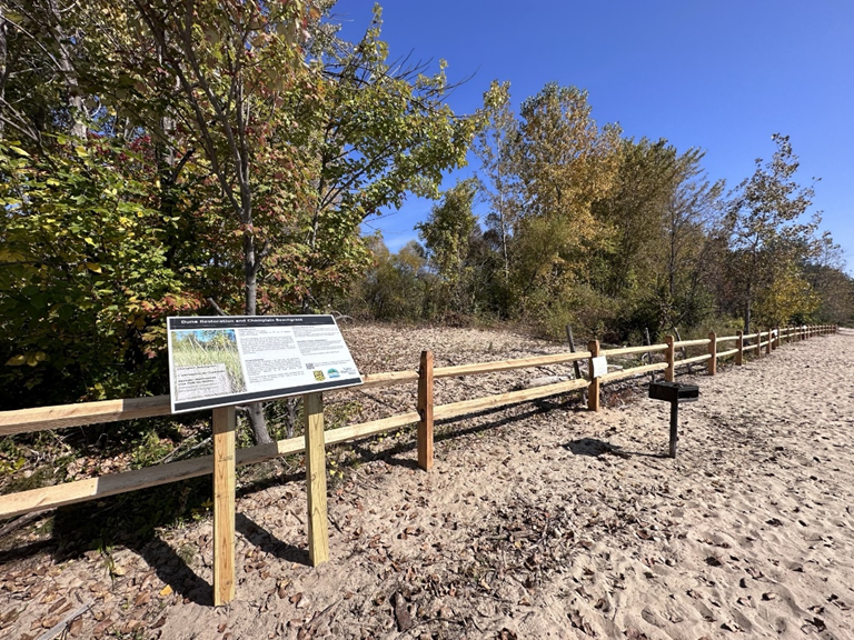 Champlain Beachgrass at Alburgh Dunes State Park. ANR photos.