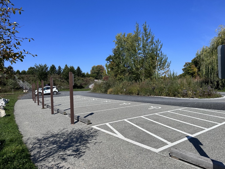 A rain garden at Alburgh Dunes State Park