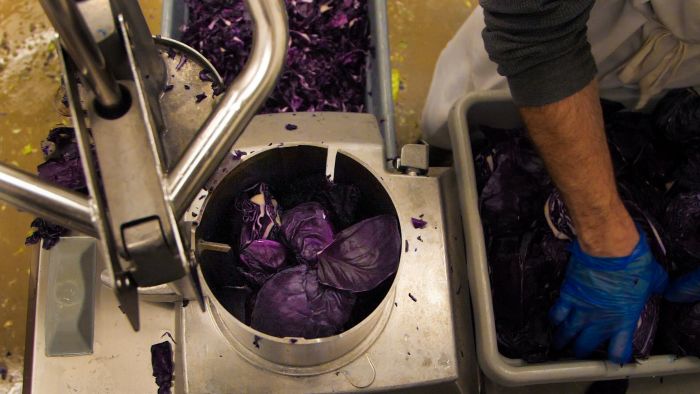 The Just Cut teams process cabbage at the Center for an Agricultural Economy’s Vermont Food Venture Center in Hardwick. 