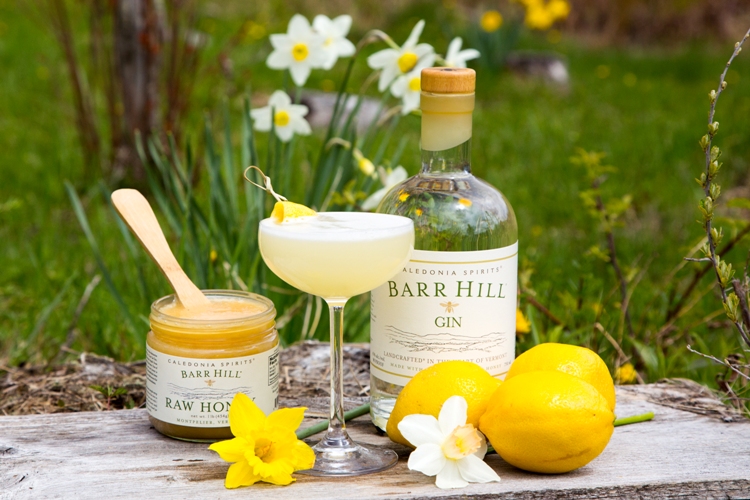 Barr Hill Gin
