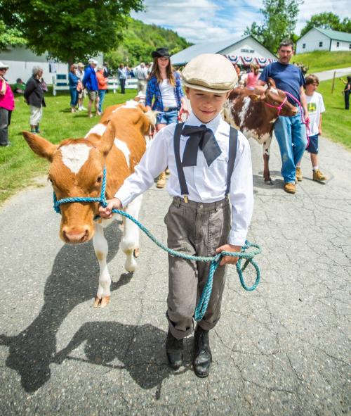 Youngsters lead heritage-breed animals in parades both Saturday and Sunday at the Vermont History Expo in Tunbridge. This photo from 2014 History Expo
