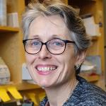 Dr. Anne Dixon