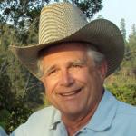 Bob Mohr